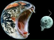 Фотография Свинцицкого Виталия