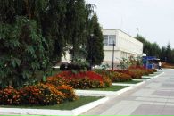 Юлія Нетесенюк фотография #17 (источник - https://vk.com/id26942857)