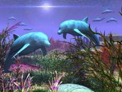 Фотография Шелиговской-Линёвой Настёнки