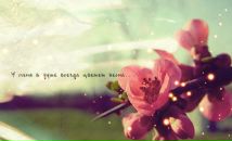 Фотография Диголарь Ирины