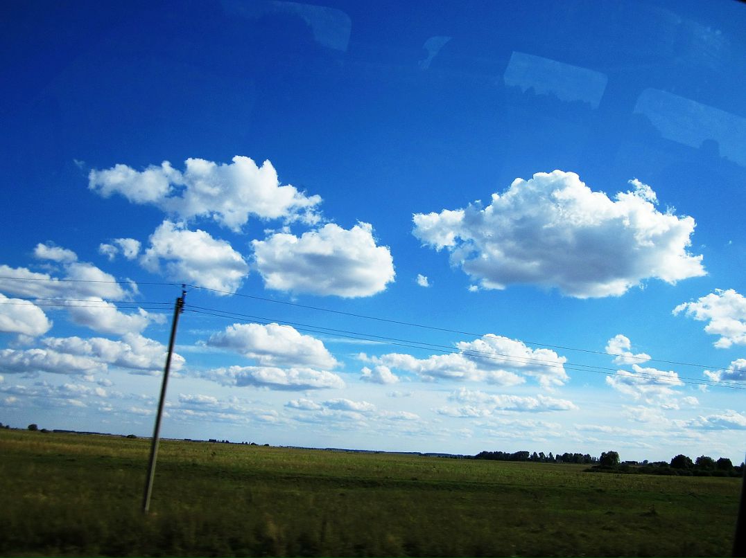 Яблоко Зеленое фотография #26