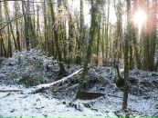 Андрій Пасічник фотография #39 (источник - https://vk.com/id7692358)