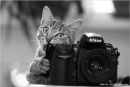 Анна Сизоненко фотография #47 (источник - https://vk.com/id127556120)