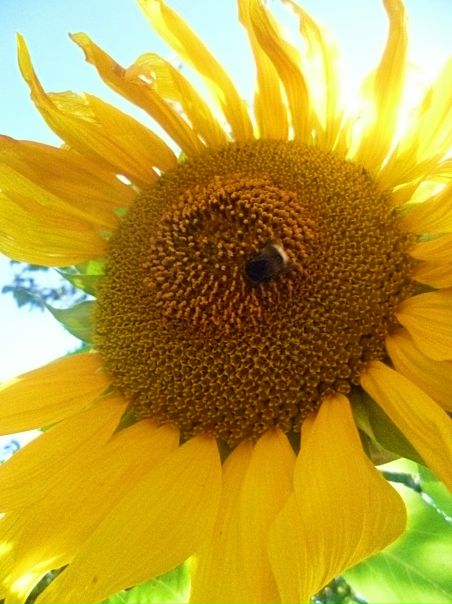 Марта Базиленко фото №2