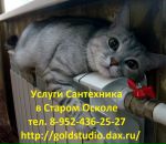 Максим Κрюков фотография #1