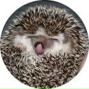 Фотография Панариной Виктории