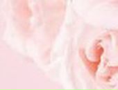 Аня Хасанова фотография #8 (источник - https://vk.com/id231013)