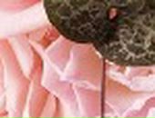 Аня Хасанова фотография #9 (источник - https://vk.com/id231013)