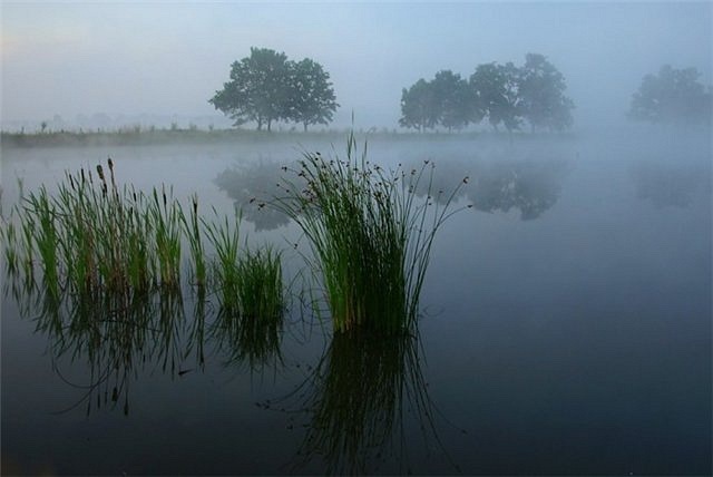 Anunimus Connect фотография #29