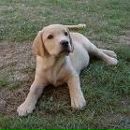 Фотография Курбатского Егора