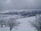 Мар'ян Василів фотография #24 (источник - https://vk.com/id85090401)