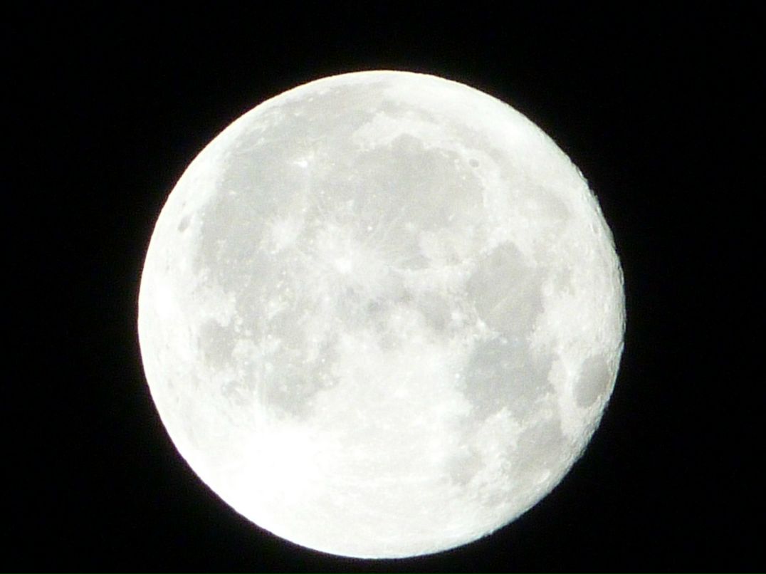 Alex Bleich фотография #37