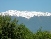 Фотография Нутрициологии Ольги Копытины