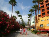 Мария Цырулева фотография #41 (источник - https://vk.com/id780803)