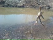 Георгий Черепков фотография #14 (источник - https://vk.com/id70034223)