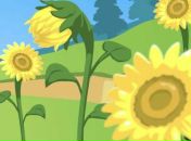 Алінонька Василишин фотография #25 (источник - https://vk.com/id78669770)