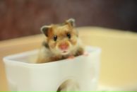 Фотография Юрьевны Наталии