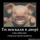 Роман Мілок фотография #9 (источник - https://vk.com/id72685352)