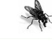 Андрій Бориско фотография #31 (источник - https://vk.com/id21099989)