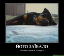 Діма Савка фотография #48 (источник - https://vk.com/id133536308)