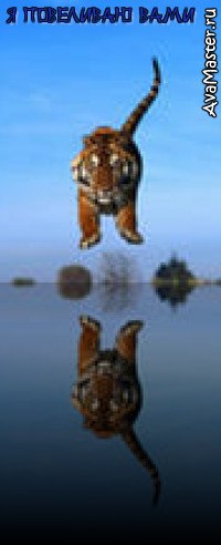 №16, Серёга Устинов №16, Серёга Устинов