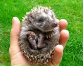 Фотография Коробейниковой Любови