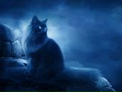 Фотография Рыбалки Оксаны