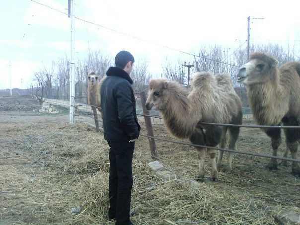 №14, Ceyhun Musayev, Баку №14, Ceyhun Musayev, Баку