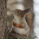 Фотография Фёдоровой Надежды