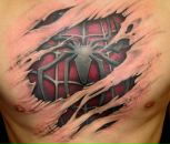 Фотография Spider Александра