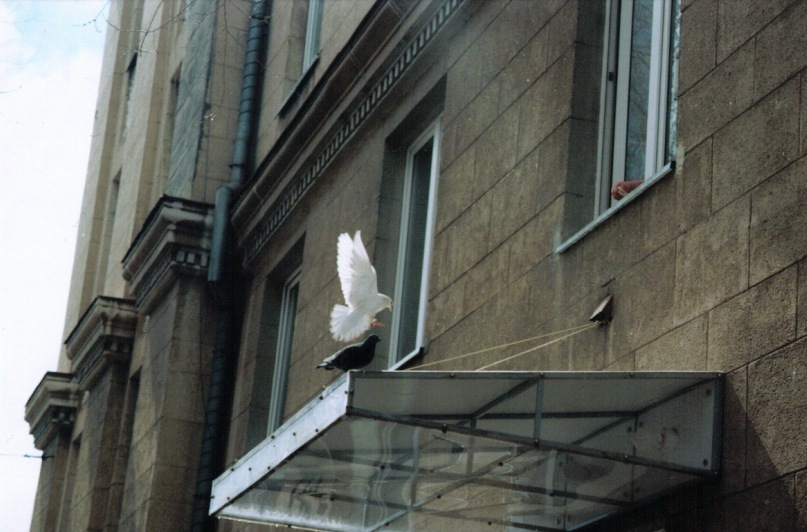 Надежда Евсеева фотография #27