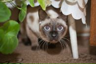 Фотография Шадрина Александра