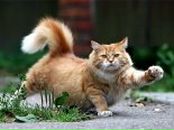 Фотография Носача Олександра