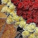 Марися Підгурська фотография #17 (источник - https://vk.com/id156009345)