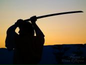 Фотография Токарева Надежда