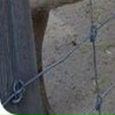 Анастасія Мазур фотография #46 (источник - https://vk.com/id70798541)