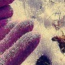 Олічка Юраш фотография #11 (источник - https://vk.com/id153876365)