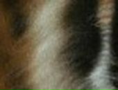 Олександр Андрієнко фотография #36 (источник - https://vk.com/id23256022)