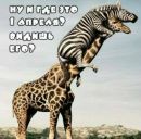 Анна Ісак фотография #1