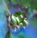 Фотография Шаргородской Ольги