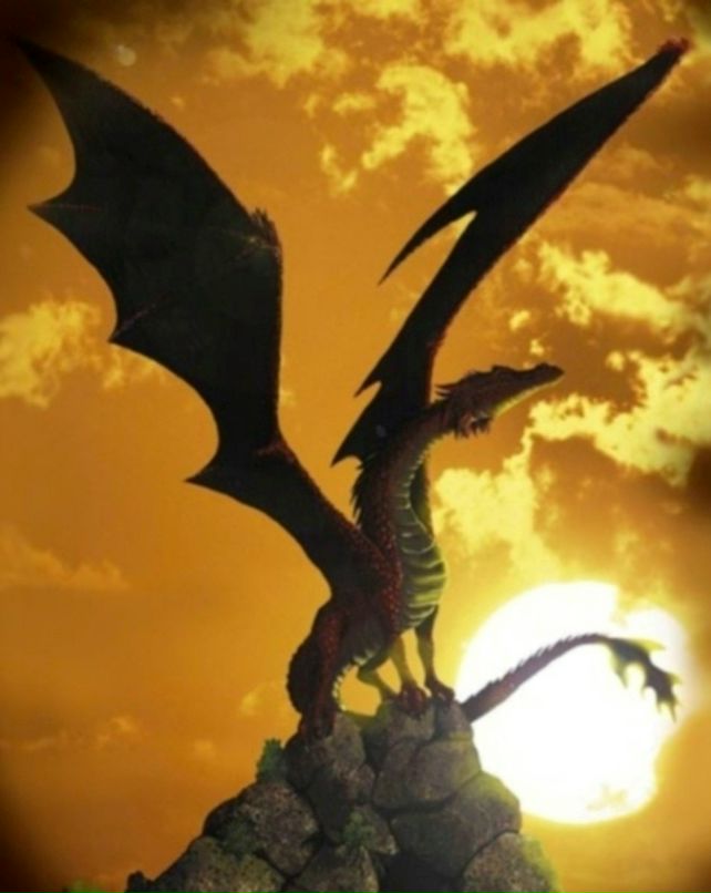 Сергей Дрень фотография #9