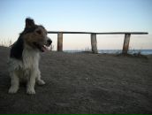 Фотография Khobotova Veronika