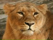 Фотография Полиной Надежды