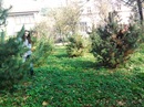 Софія Влашин фотография #8 (источник - https://vk.com/id141738902)