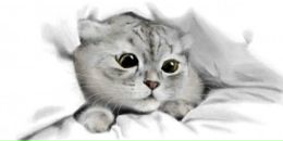 Фотография Патрушиной Светланы