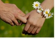 Фотография Лиса Лёшки