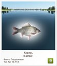 Макс Капітула фотография #39 (источник - https://vk.com/id134394023)