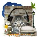 Alex Fox фотография #29 (источник - https://vk.com/id40662)