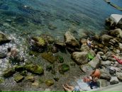 Наташа Карпікова фотография #2 (источник - https://vk.com/id86262393)