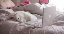 Фотография Гумеровой Гуллеры